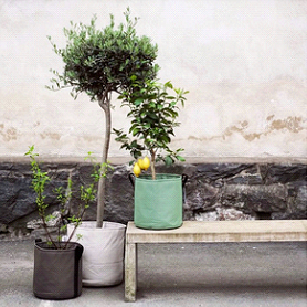 Installation